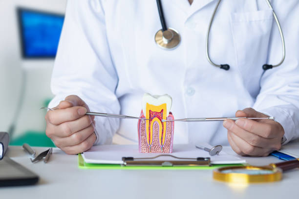 Best Pediatric Emergency Dentist in Douglas, WY